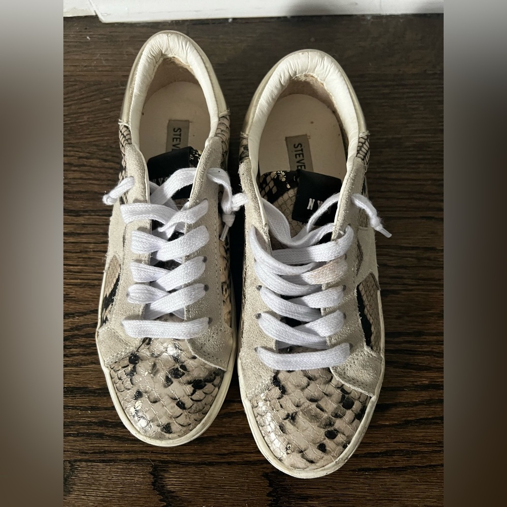 Steve Madden Snakeprint Sneaker